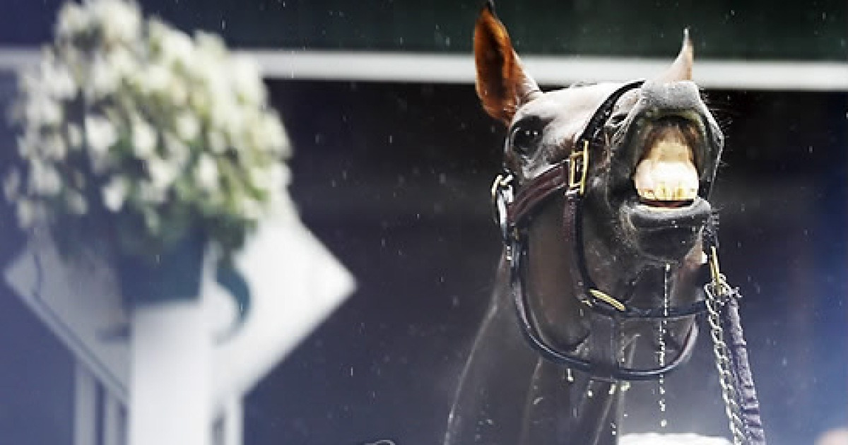 USA HORCE RACING BELMONT STAKES
