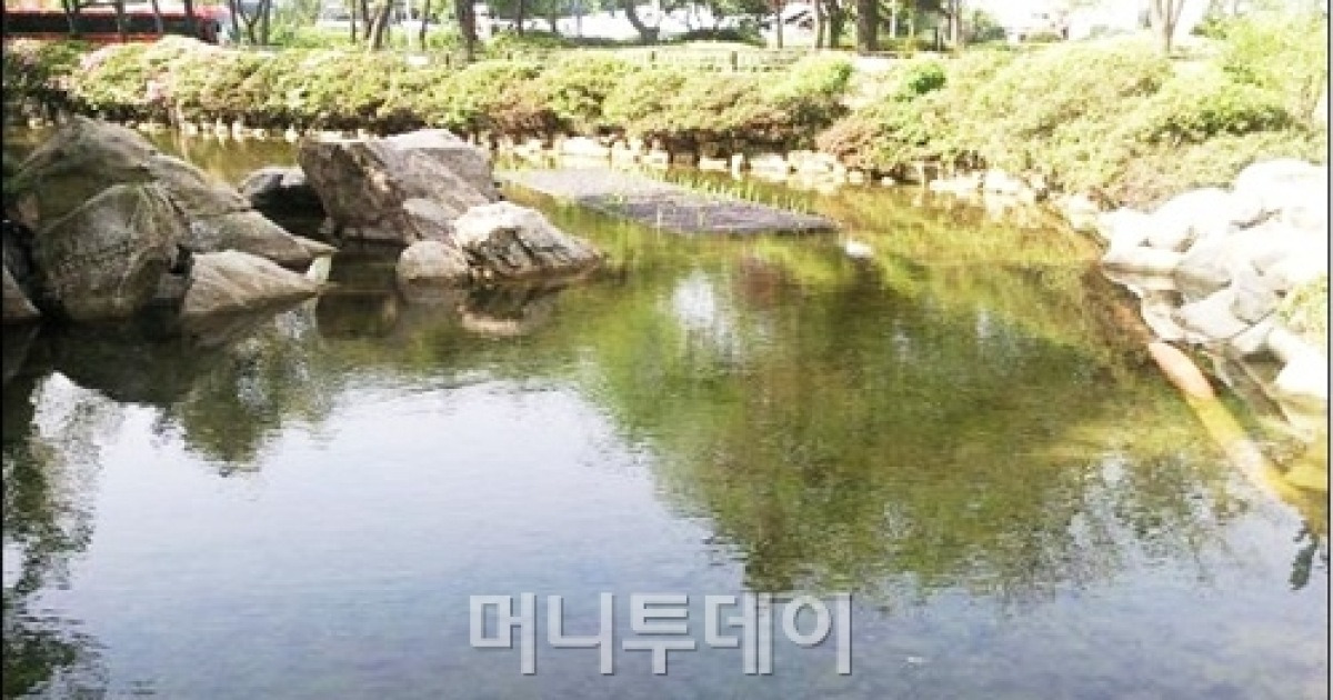 인천 능허대공원 연못-'자연생태연못 변신'
