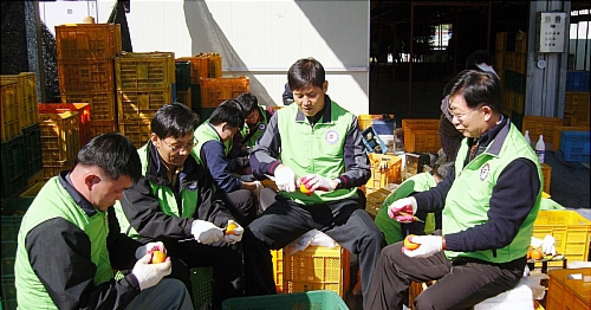 충청우정청, 충북 영동 곶감농장 일손돕기 봉사