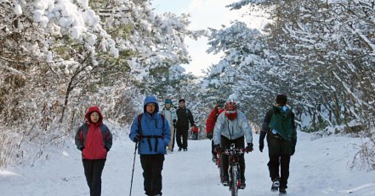 겨울산행 그 雪레임 속으로..