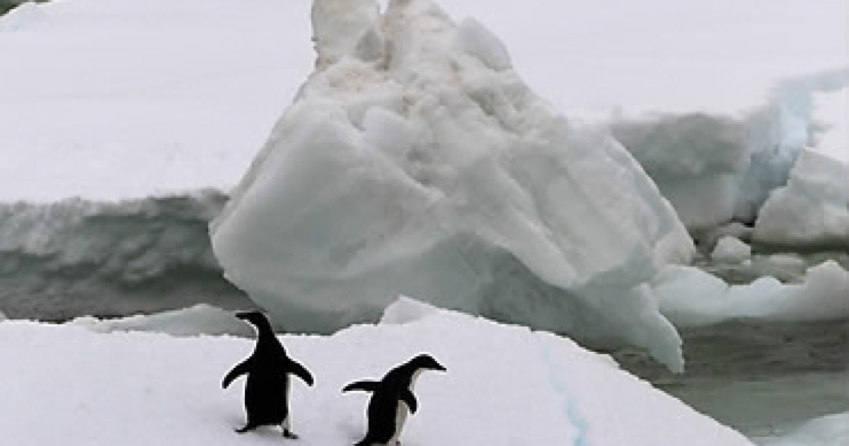 AT SEA MAWSON CENTENARY EXPEDITION ANTARCTICA