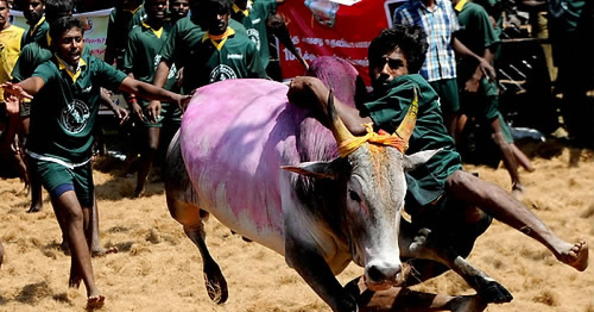 INDIA CUSTOMS AND TRADITIONS