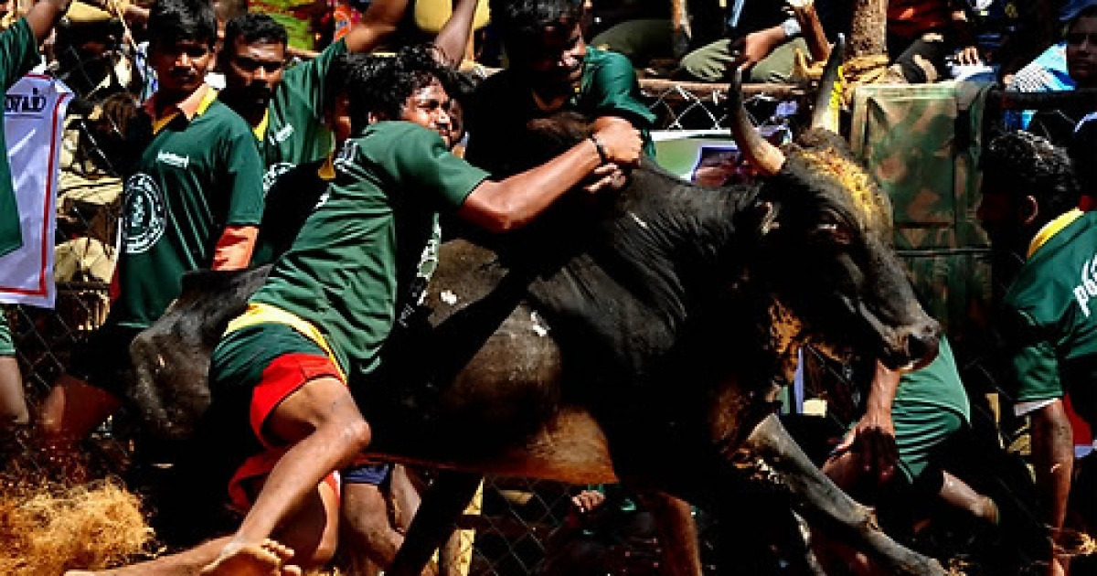 INDIA CUSTOMS AND TRADITIONS