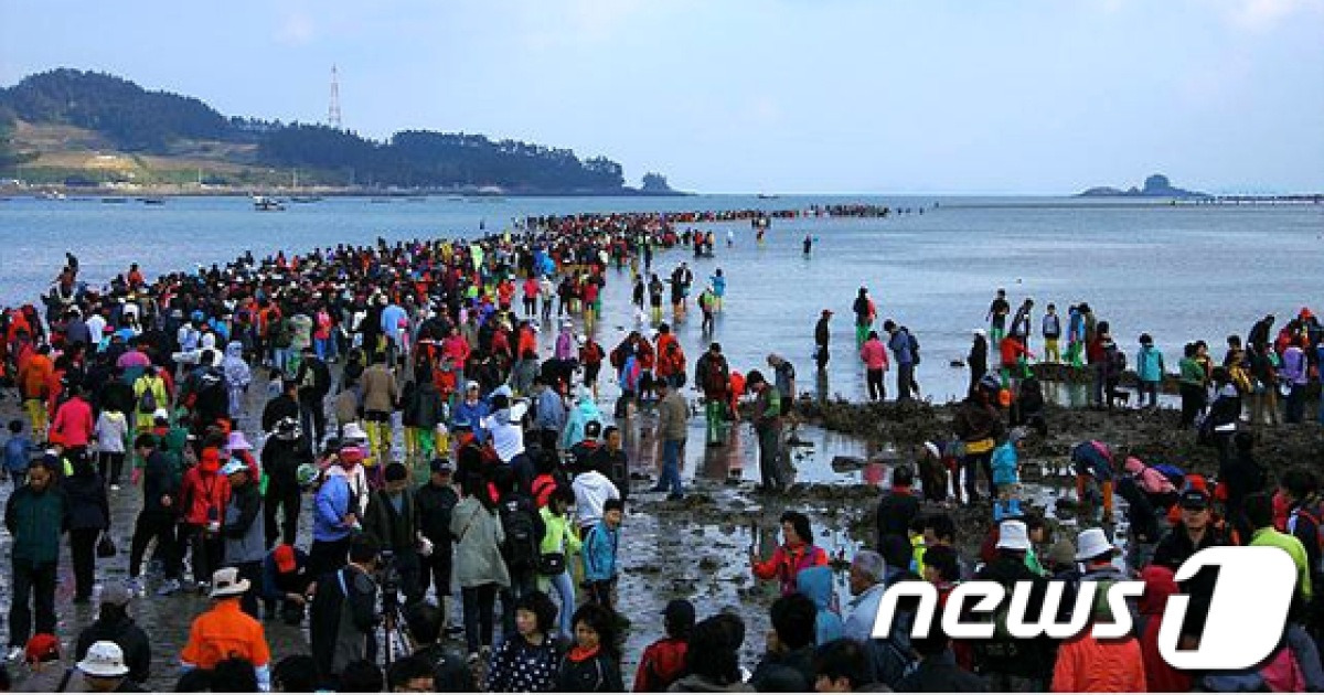 진도군 파워 블로거 초청 팸 투어