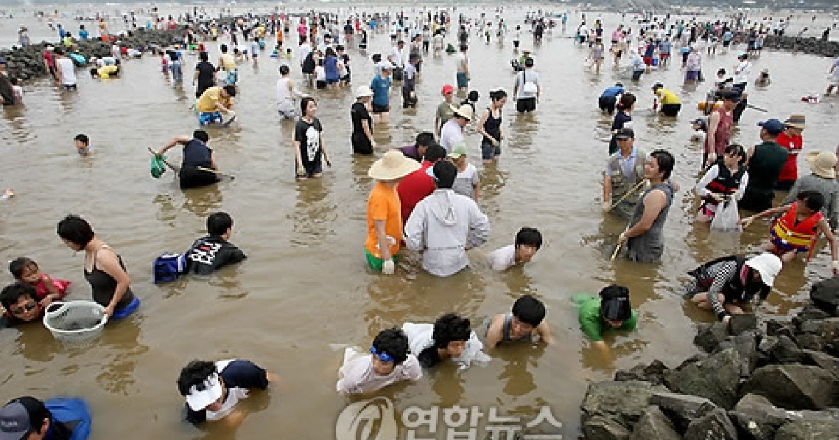 태안 전통고기잡이 '독살' 체험 관광객에 인기