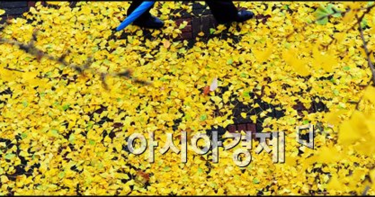 [포토]마지막 가을 정취, 낙엽을 밟다