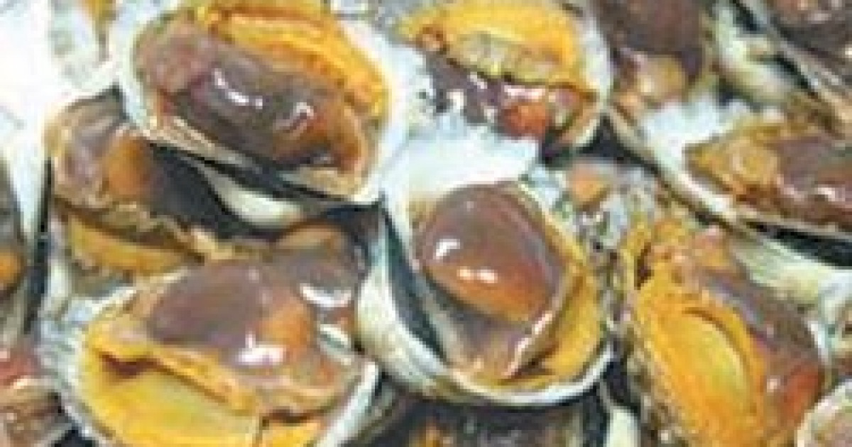 [광주/전남]