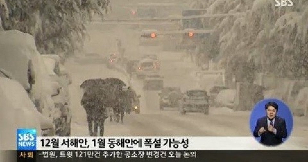 올겨울 한파 전망, 겨울 초부터 강력한 추위 찾아온다