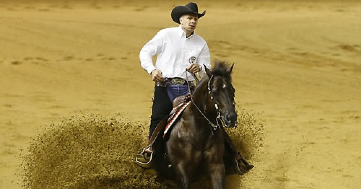 FRANCE WORLD EQUESTRIAN GAMES 2014