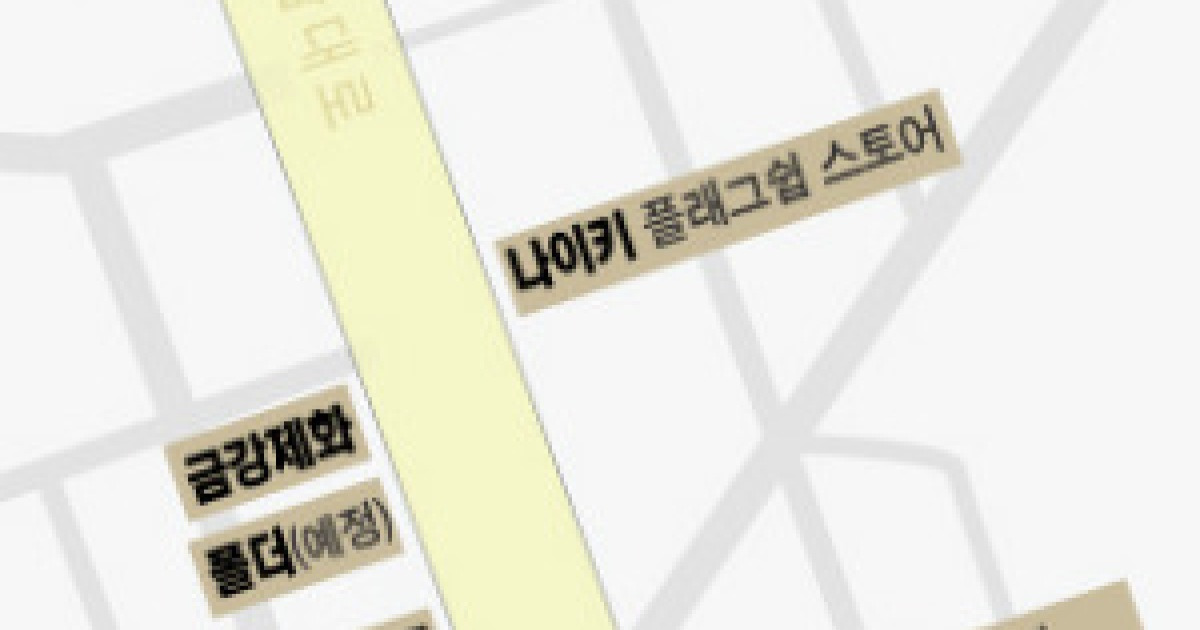서울 강남역 신발 멀티숍 '삼각경쟁' .. 이랜드 '폴더' 등장