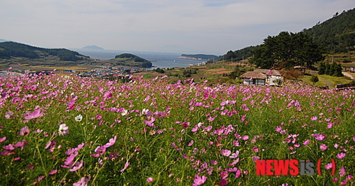 완도 청산도·보길도 코레일 기차여행 베스트 8선 선정