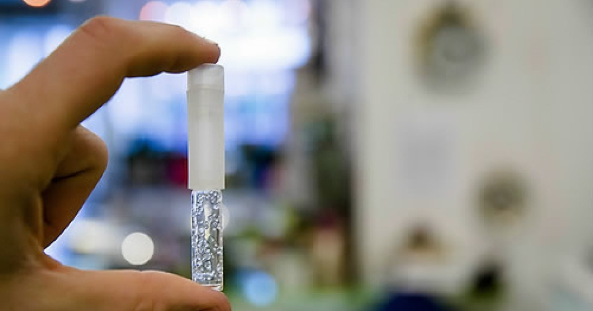 NETHERLANDS DRUGS WHITE HEROIN