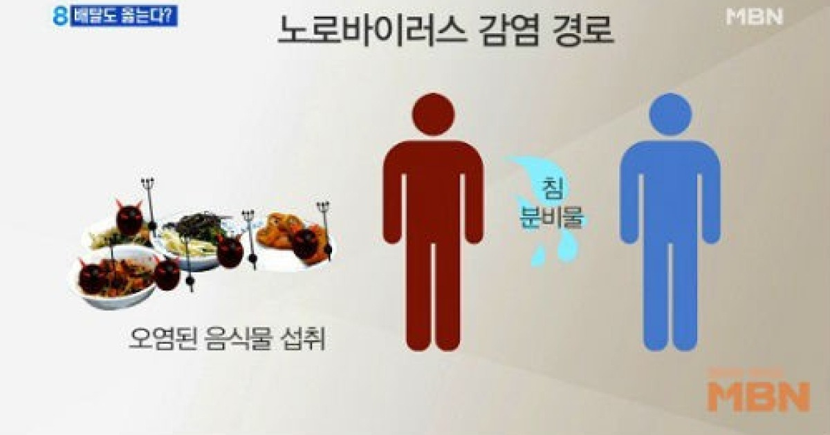 겨울 장염 증상, 원인은 노로 바이러스..철저한 개인위생관리 중요
