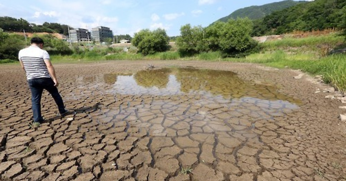 124년만의 대가뭄 '주기설' 진입론도 등장