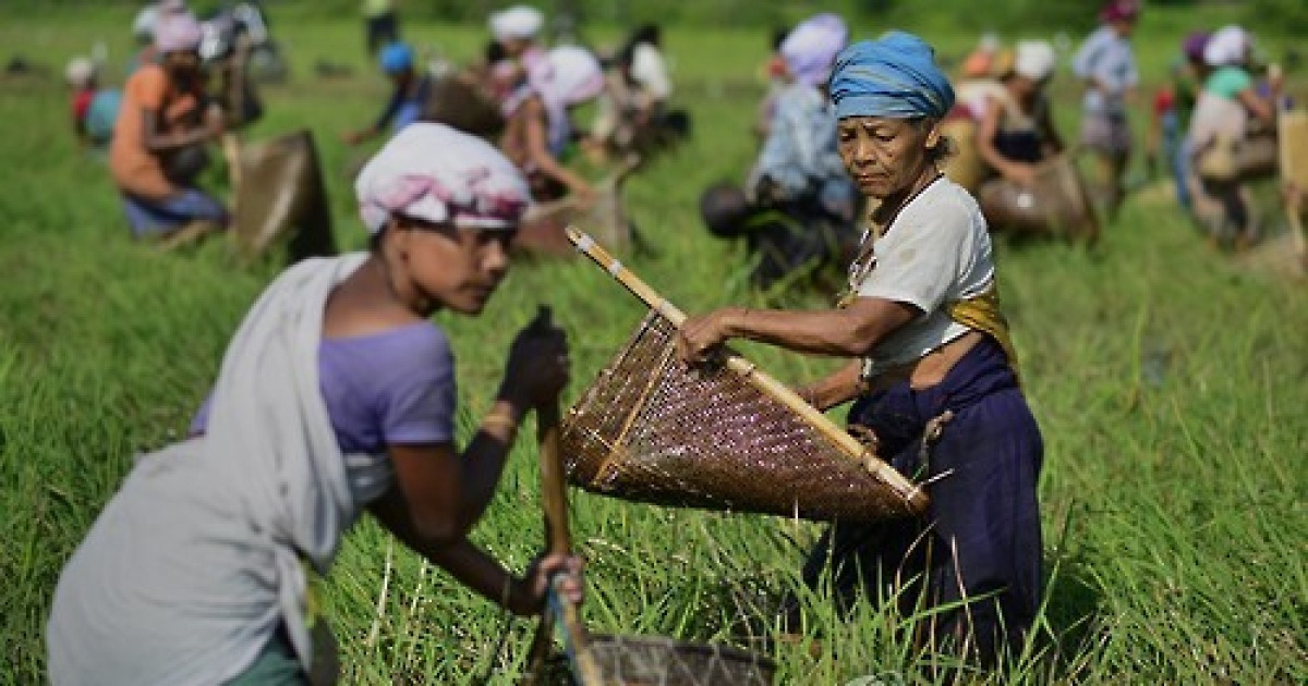 india-kati-bihu-festival
