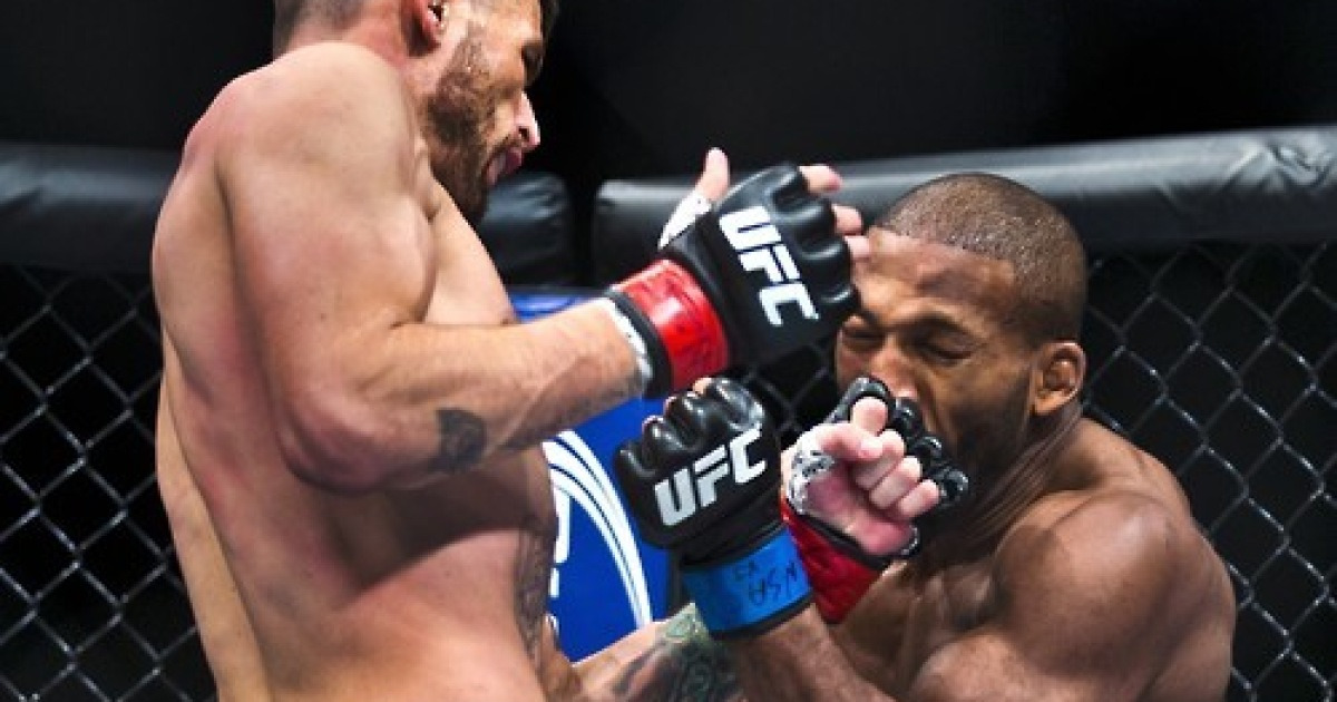 mma-ufc-means-howard