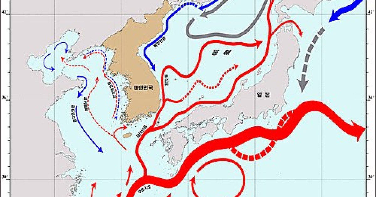 한국 해류모식도, 국내 최초 완성..한반도 해류흐름 한눈에