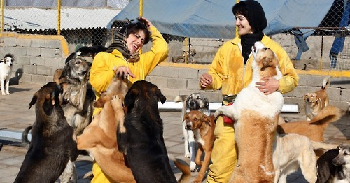IRAN ANIMAL WELFARE