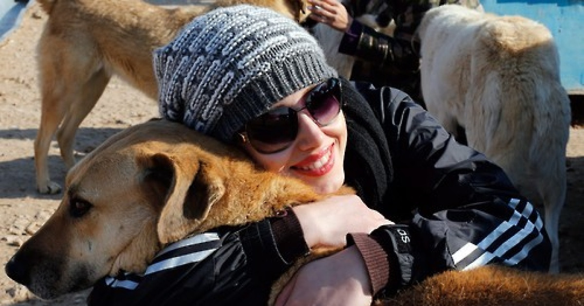 IRAN ANIMAL WELFARE