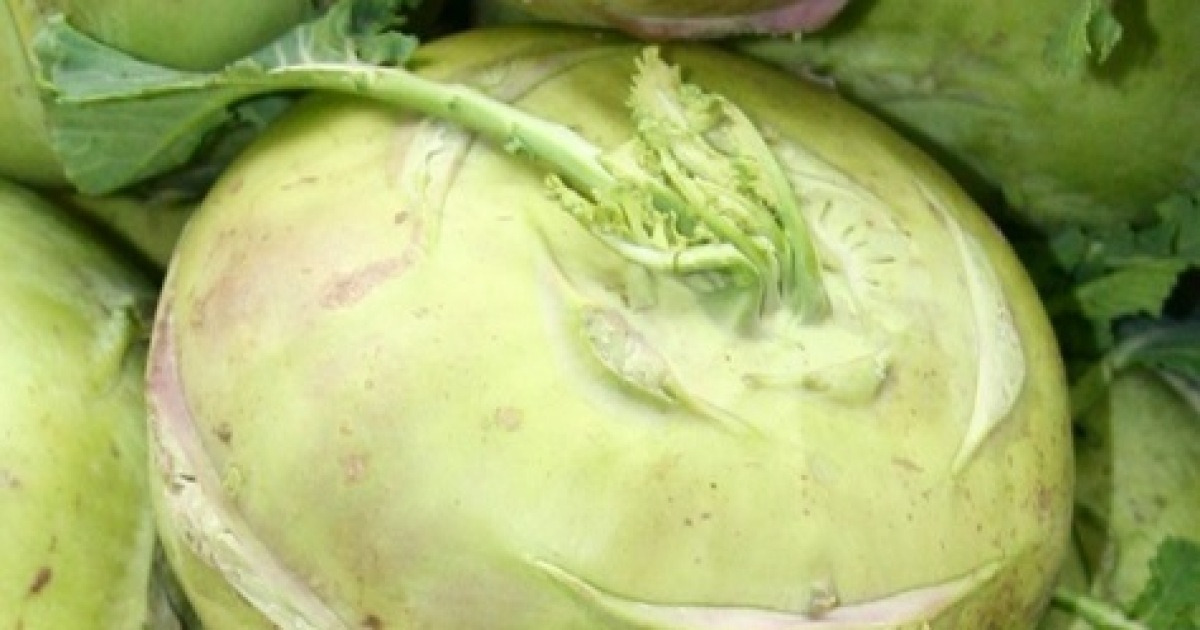 반포농원 제주 알 줄기 양배추는 칼로리가 낮고 식이섬유가 풍부하여 1