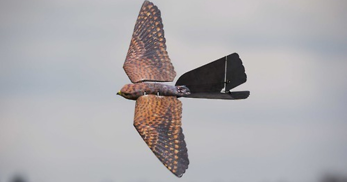 NETHERLANDS TECHNOLOGY ROBOT BIRDS