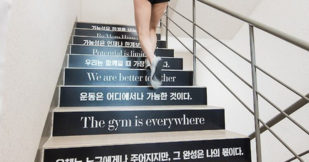43층 높이의 건물을 오른다