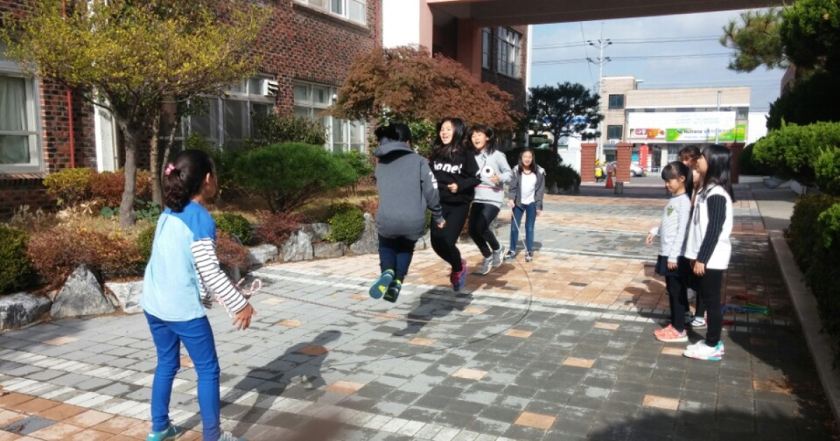 충남교육청, '1교 1스포츠' 이제는 내실화 단계
