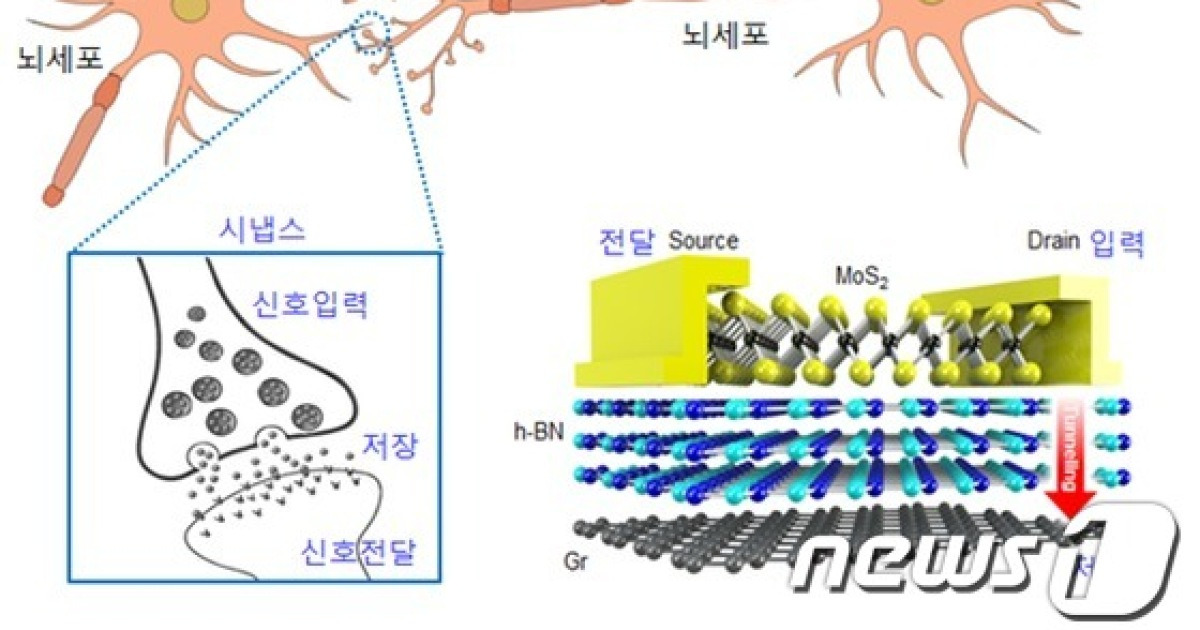 '인간 뇌 닮은' 차세대 메모리 소자..국내 연구진 개발