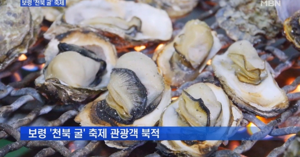 [충남] 굴의 향연 '천북 굴 축제'..관광객 북적