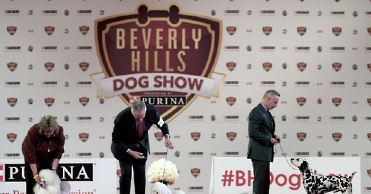 Beverly Hills Dog Show