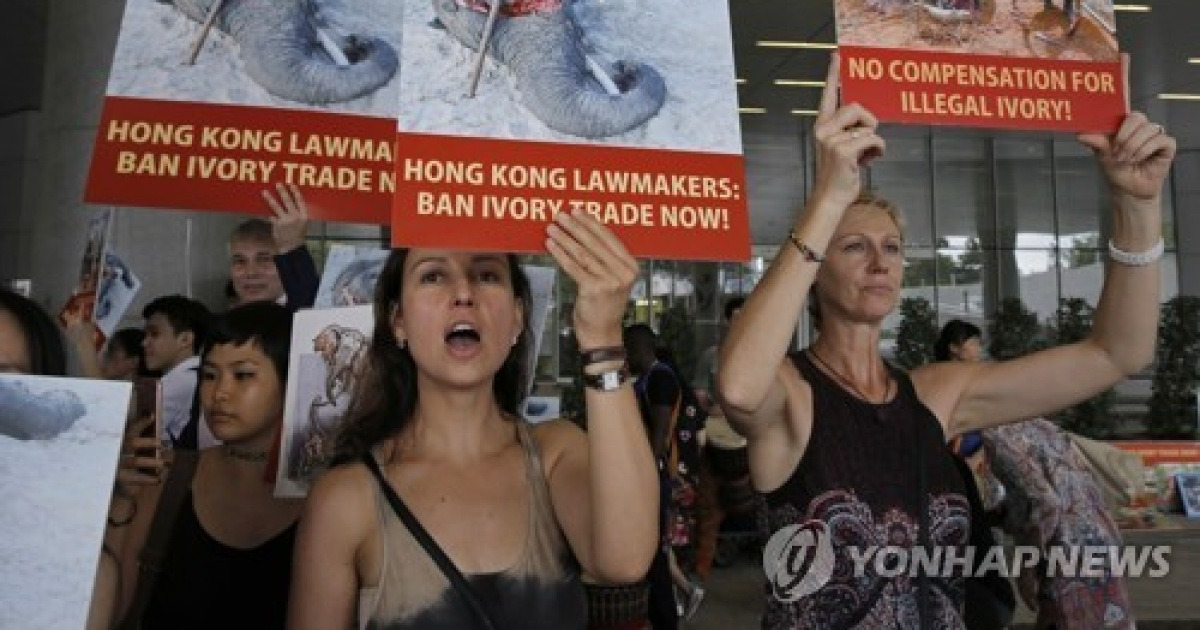 Hong Kong Ivory Ban