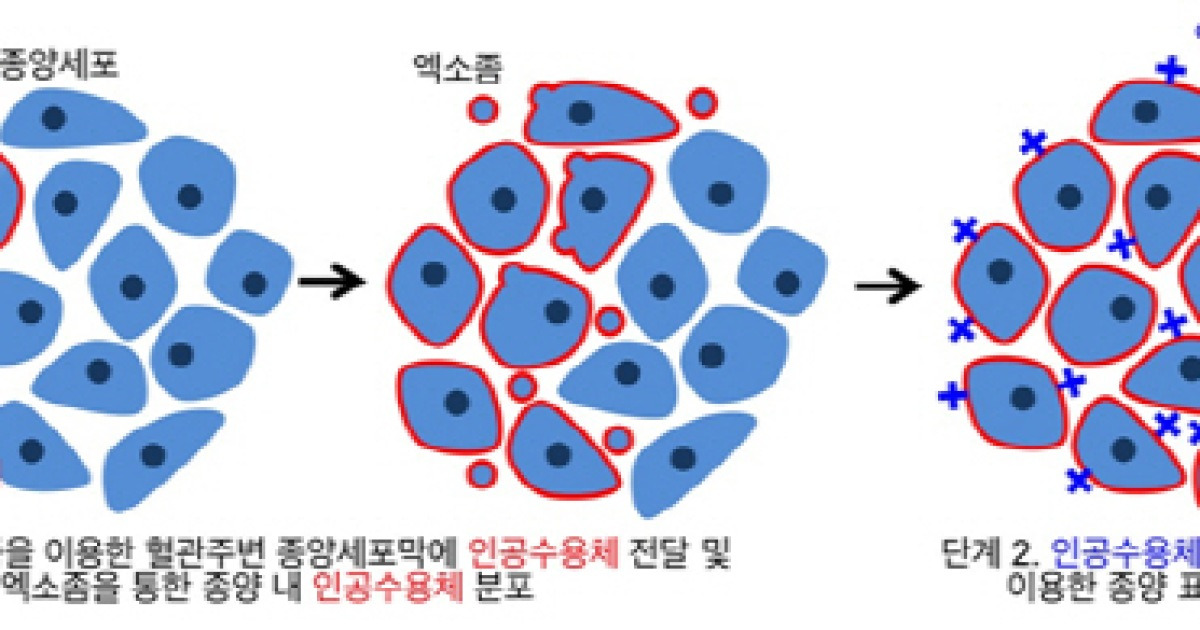 종양 표적치료하는 기술 개발