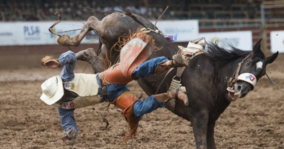 APTOPIX Pikes Peak or Bust Rodeo