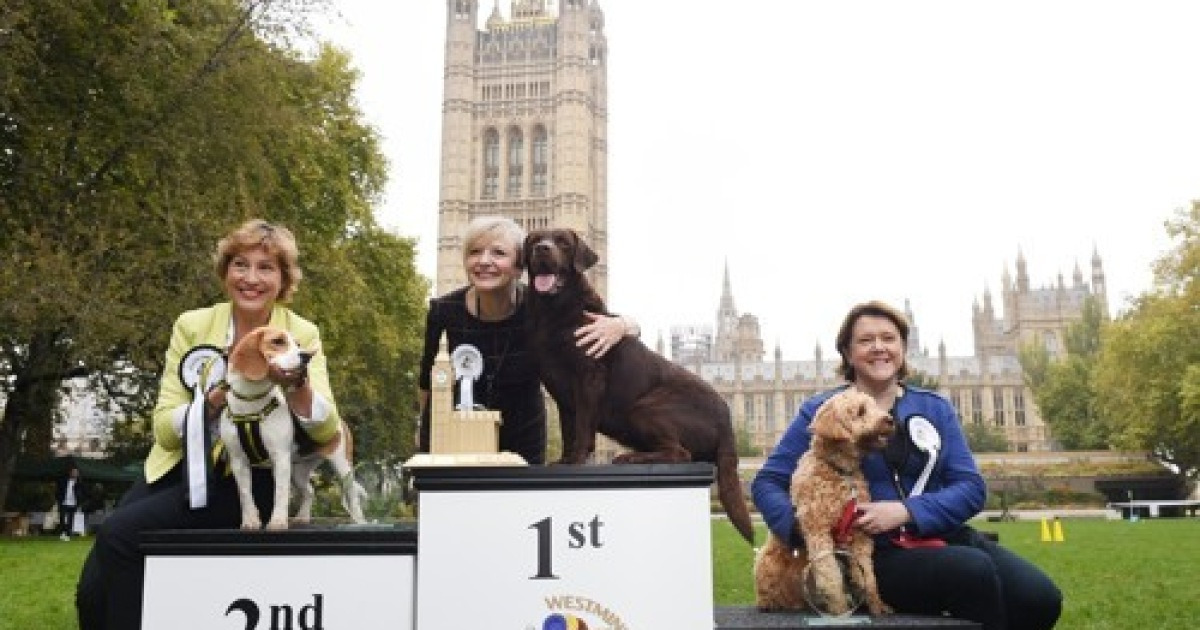 BRITAIN POLITICS ANIMALS