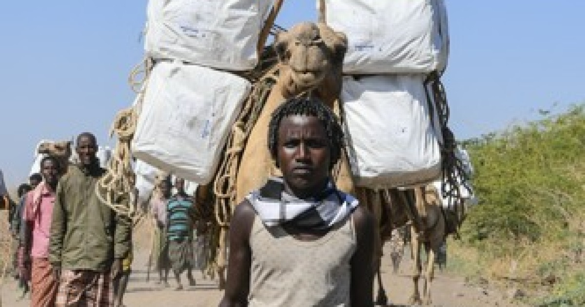 ethiopia-health-malaria-afar