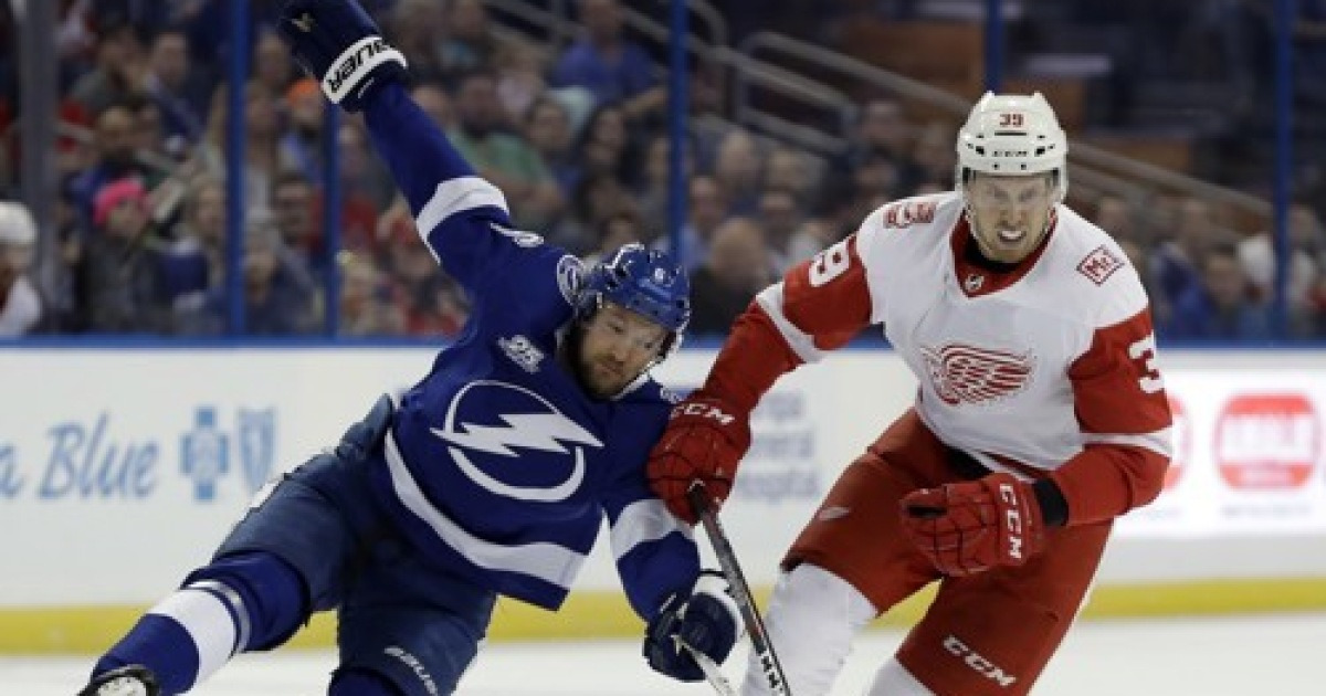 Red Wings Lightning Hockey