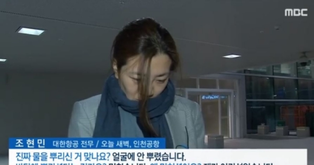 조현민 국적 논란, '조 에밀리 리' 이름으로 '불법 등기임원'