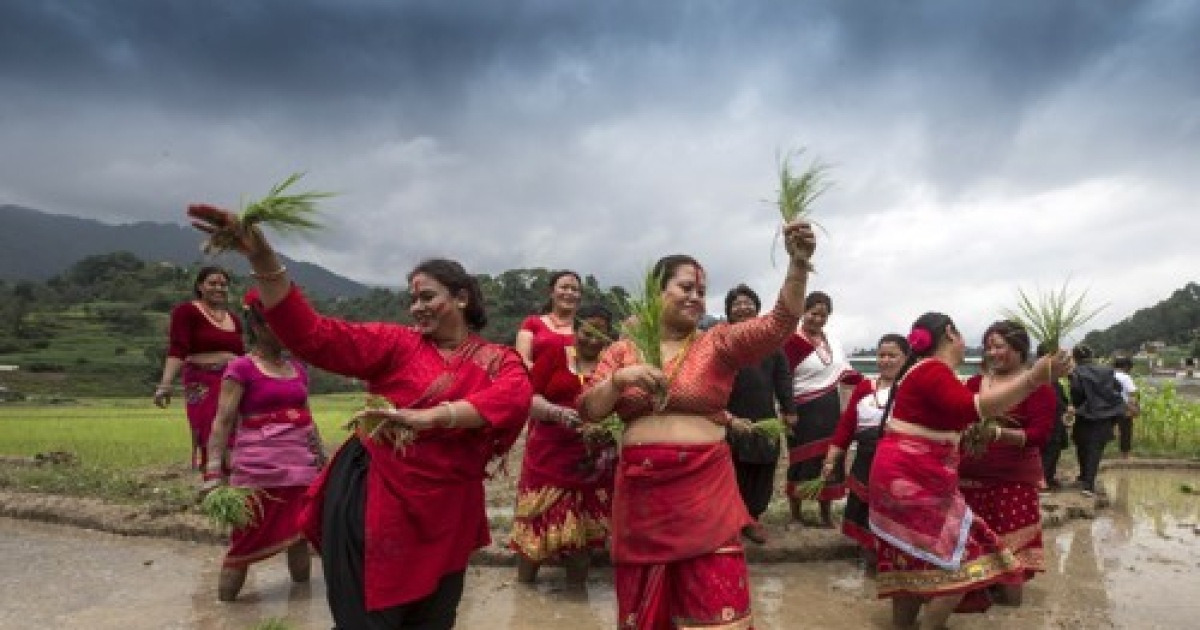 NEPAL NATIONAL PADDY DAY