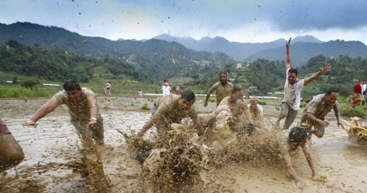 NEPAL NATIONAL PADDY DAY