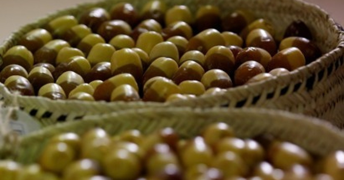 UAE LIWA DATE FESTIVAL