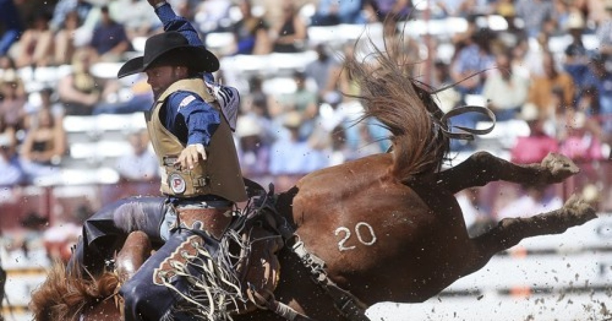 Cheyenne Frontier Days Rodeo