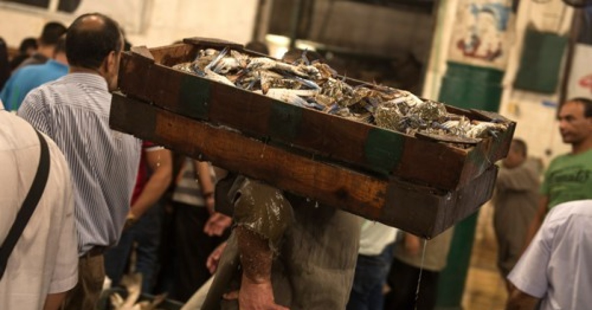 EGYPT ALEXANDRIA FISH MARKET