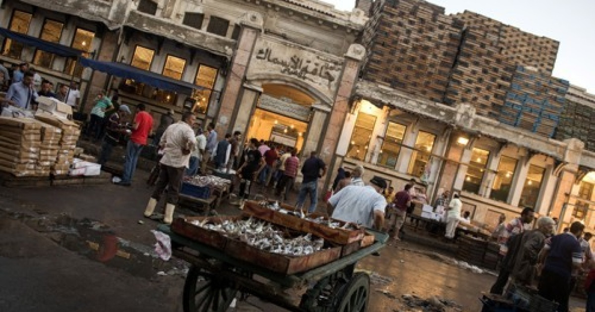 EGYPT ALEXANDRIA FISH MARKET