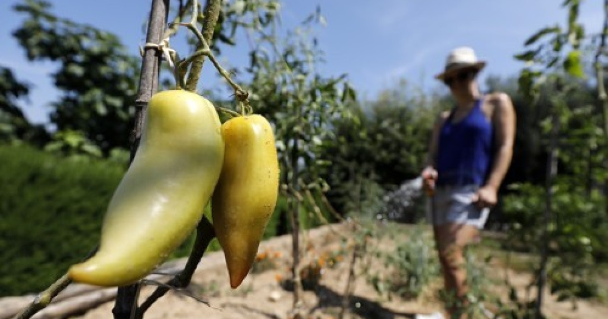 FRANCE WEATHER FRENCH RIVIERA
