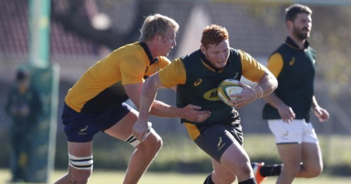 SOUTH AFRICA SPRINGBOK RUGBY PRACTICE