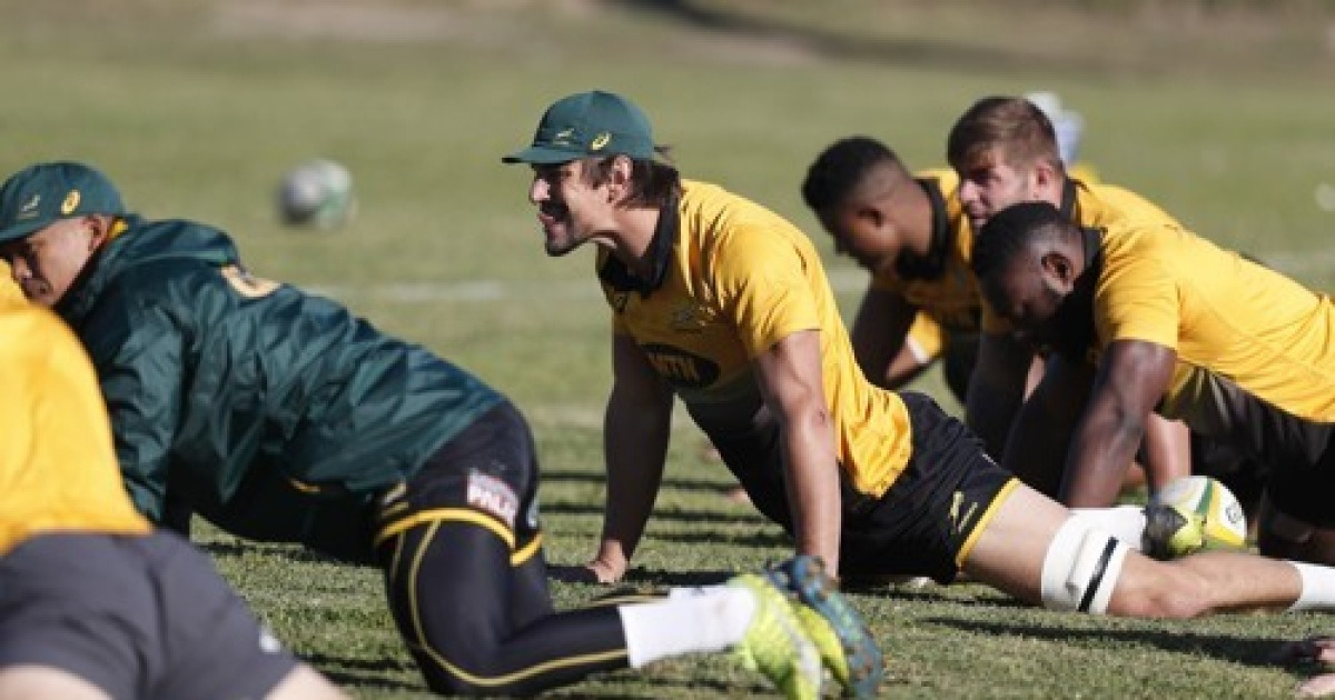 SOUTH AFRICA SPRINGBOK RUGBY PRACTICE
