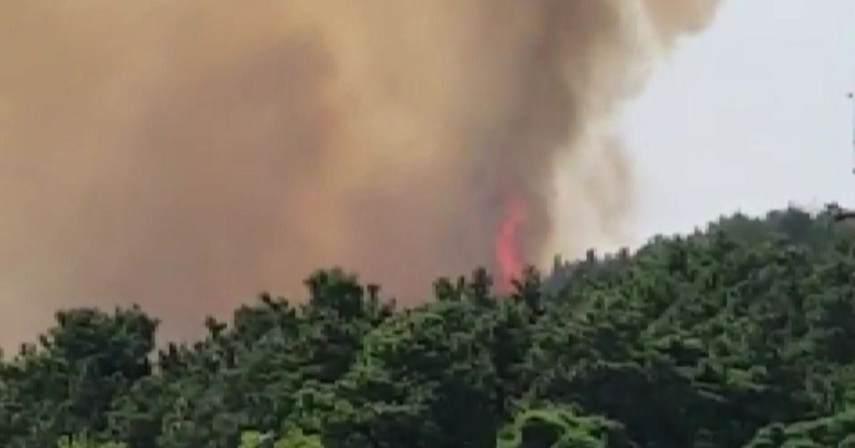 전북 전주 용복동에서 산불..큰 불길 잡아