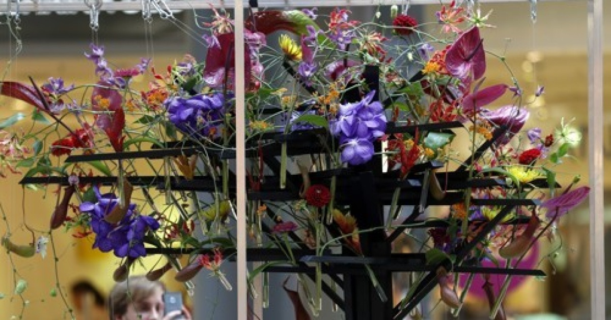 GERMANY FLORISTS CHAMPIONSHIPS