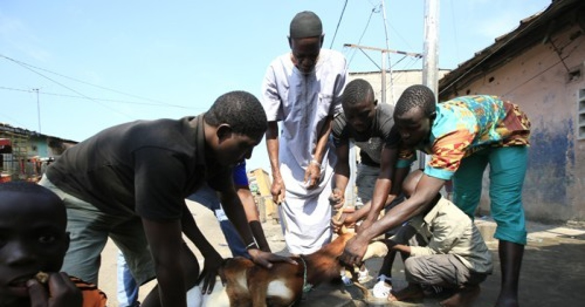 IVORY COAST BELIEF ISLAM EID ALADHA