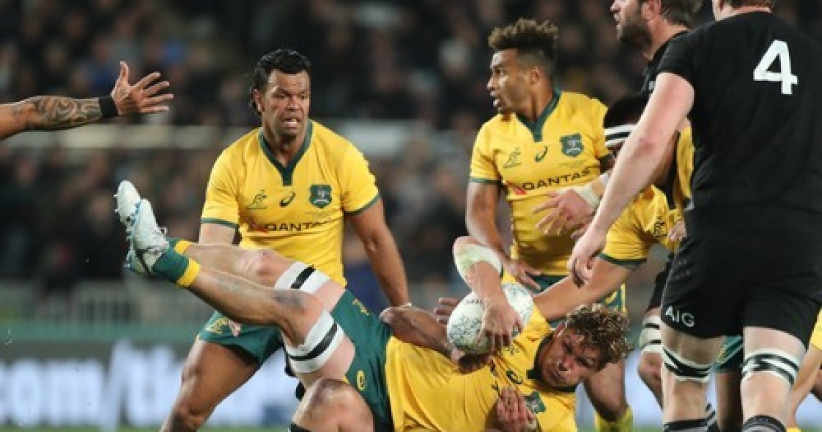 new-zealand-rugby-bledisloe-cup